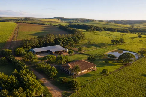 Foto aérea: propriedade rural / irrigação